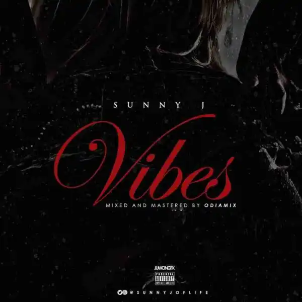 Sunny J - Vibes (Freestyle)